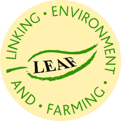 LEAF